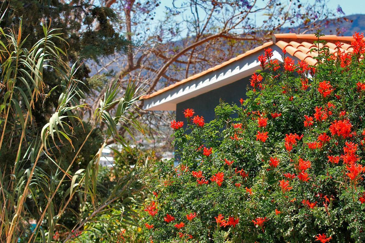 Casa Esther El Paso Kültér fotó